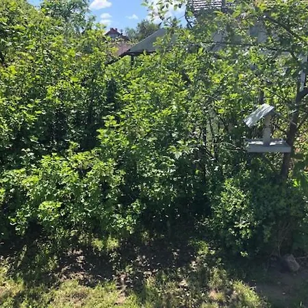 Apartamento Parkowa